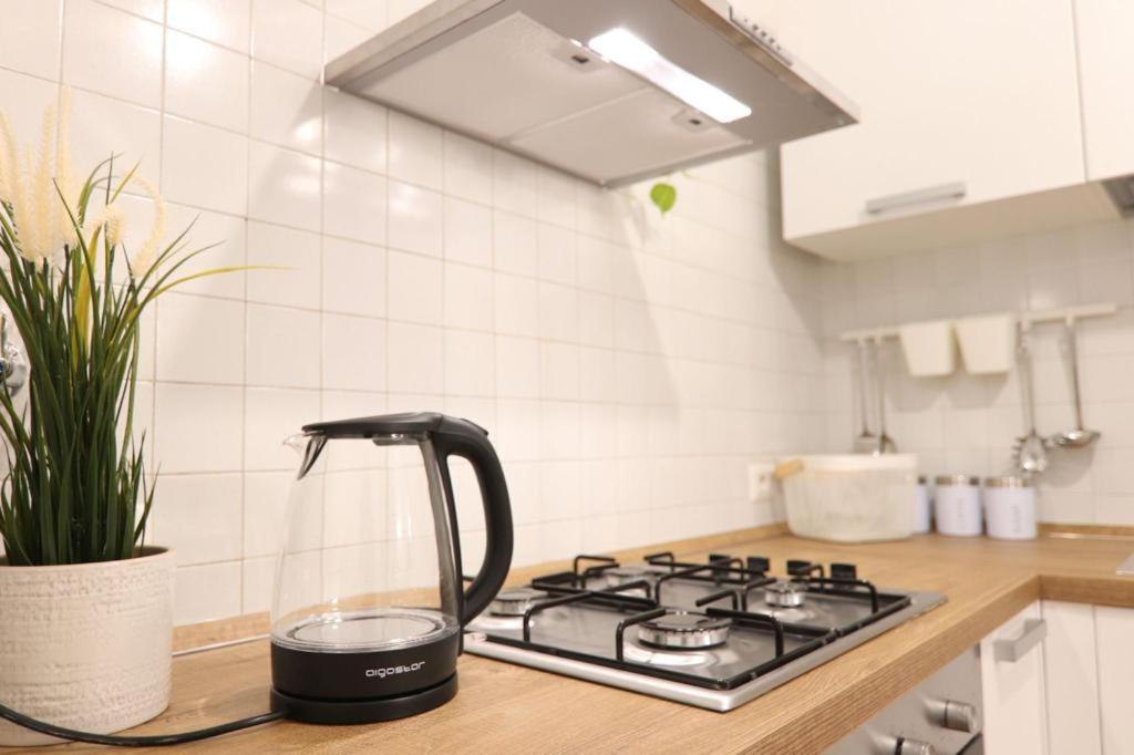 Colosseum 20 Apartment 로마 외부 사진